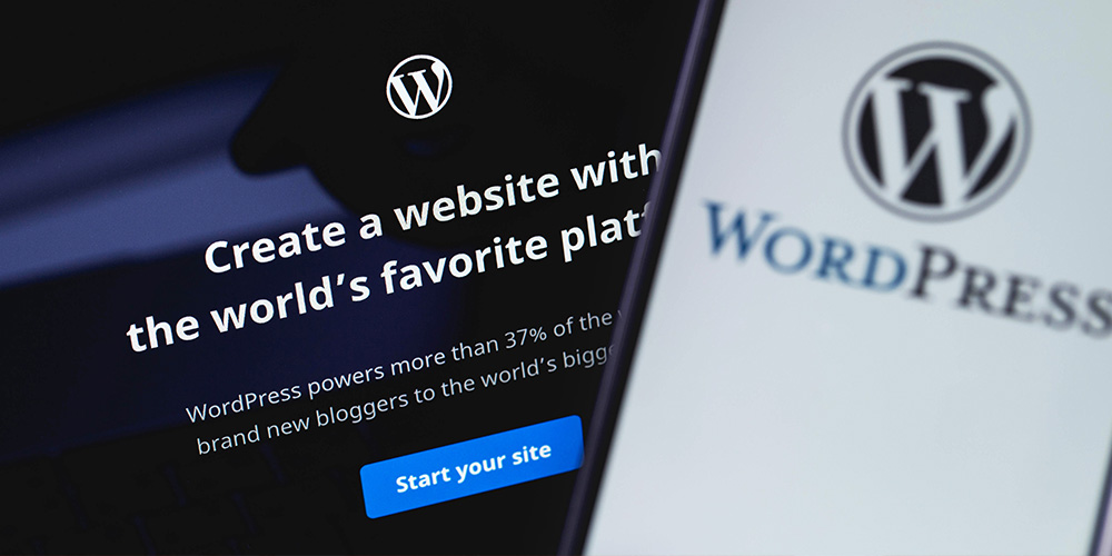 The advantages of WordPress for your website development